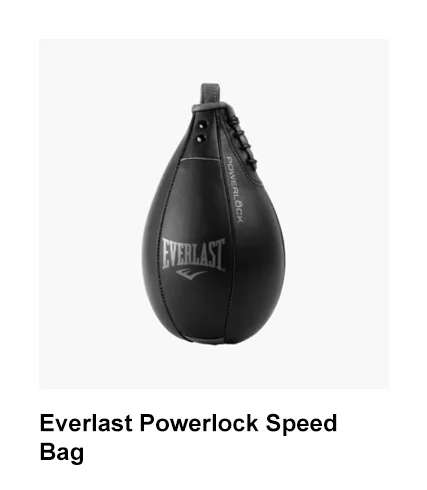Everlast Powerlock Speed Bag