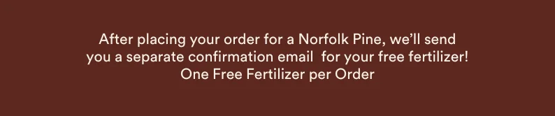 After placing your order for a Norfolk Pine, we’ll send you a separate confirmation email  for your free fertilizer! one fertilizer per order
