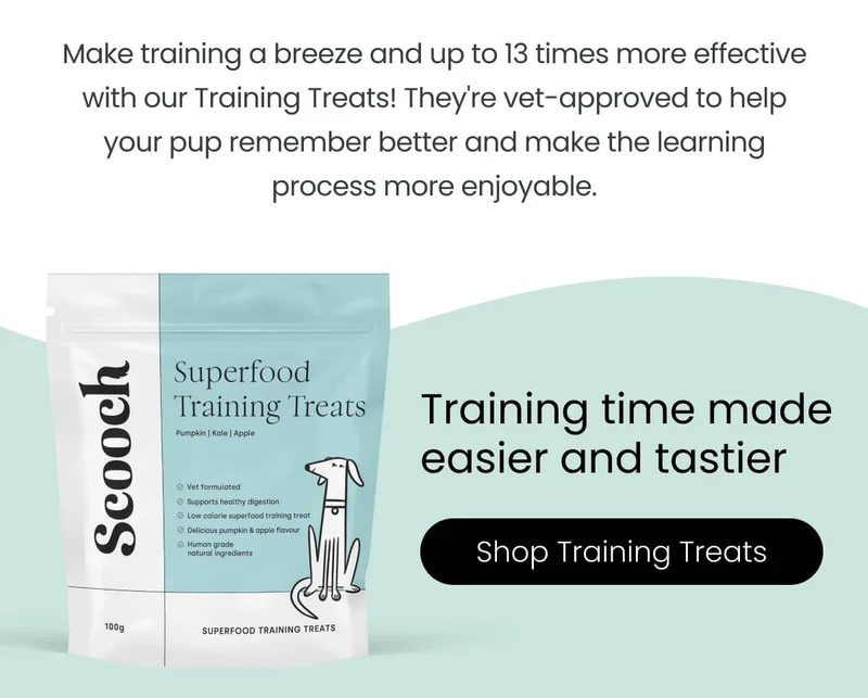 Training time made easier and tastier.  - Shop Training Treats