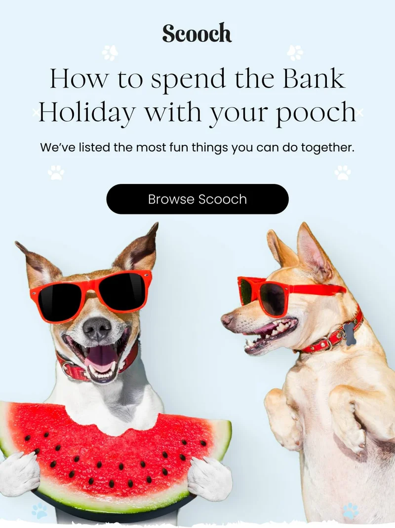 How to spend the Bank Holiday with your pooch - Browse Scooch
