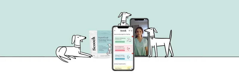 Scooch App