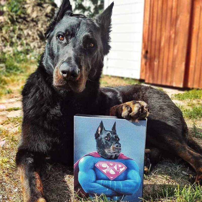 Image of Supawman - Custom Pet Canvas