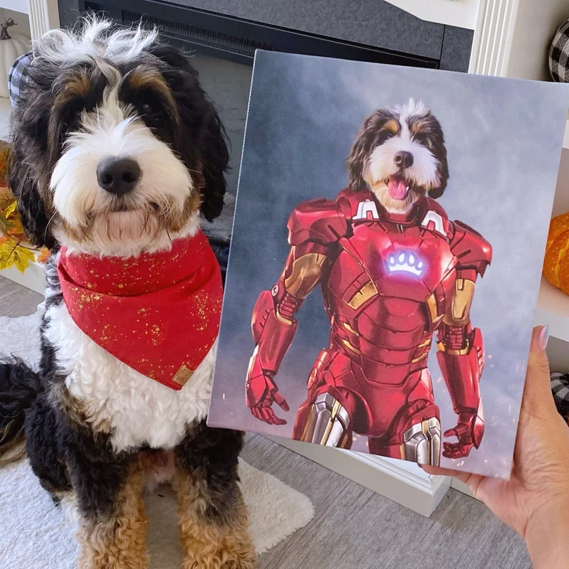 Image of The Rich Hero - Custom Pet Canvas