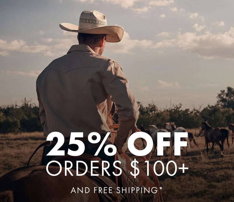 25% Off Orders $100+ and Free Shipping*
