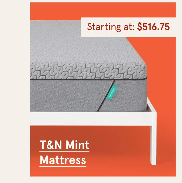 T&N Mint Mattress