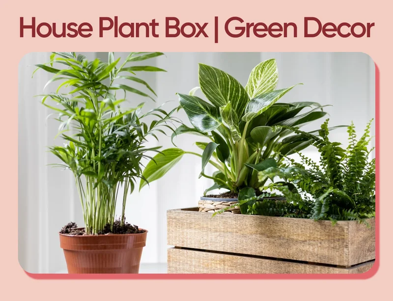 Green Decor
