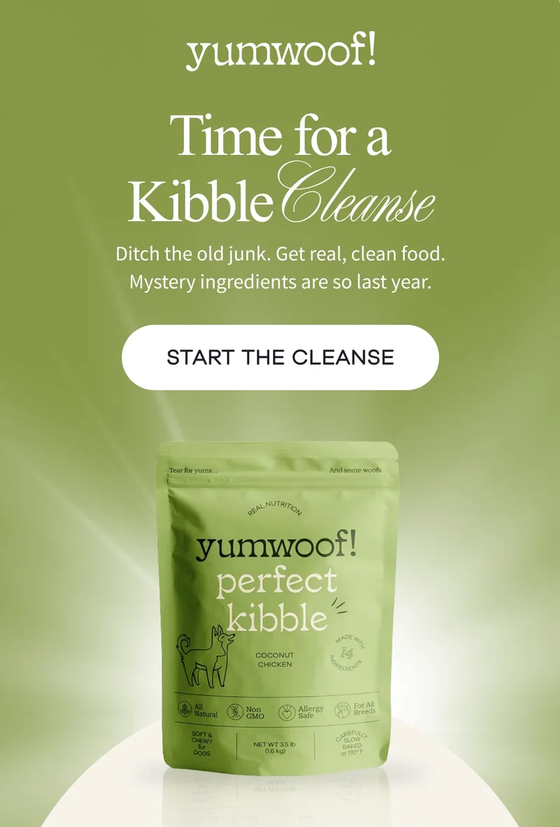 yumwoof! | Time For A Kibble Cleanse | Ditch the old junk. Get real, clean food. Mystery ingredients are so last year. | START THE CLEANSE