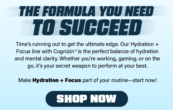 THE FORMULA YOU NEED TO SUCCEED