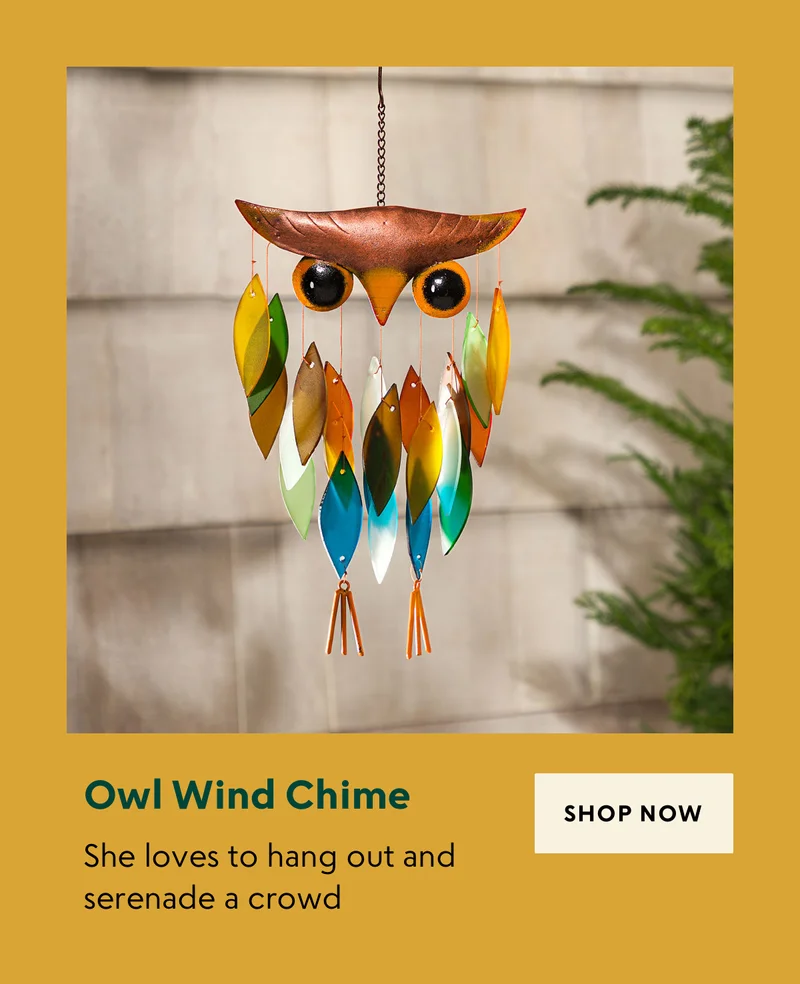 shop now