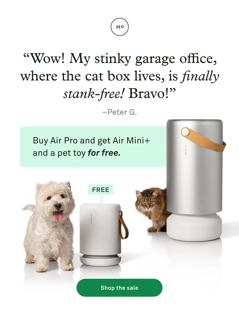 Buy Air Pro, get Air Mini+ for free