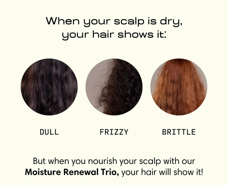 When your scalp is dry, your hair shows it: Dull Frizzy Brittle But when you nourish your scalp with our Moisture Renewal Trio, your hair will show it!