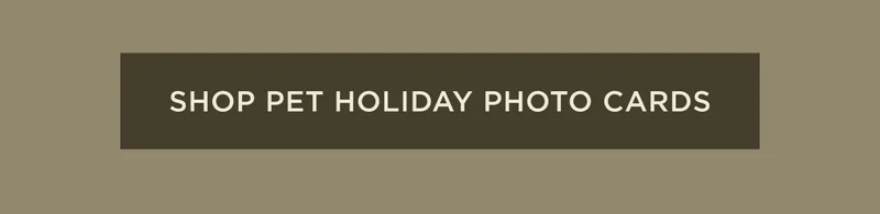 Shop Pet Holiday Photo Cards