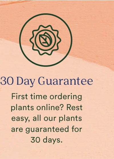 30 Day Guarantee