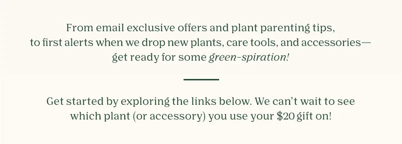 Discover your first plant