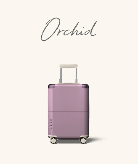 Orchid