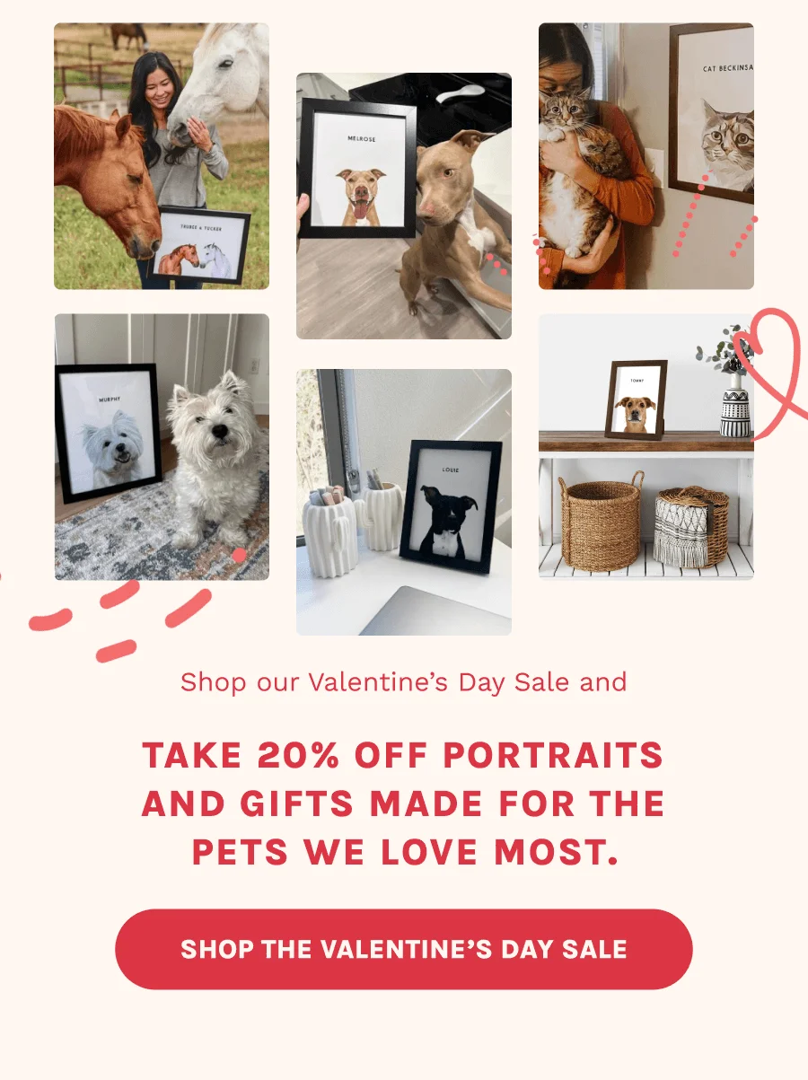 Shop The Valentines Day Sale