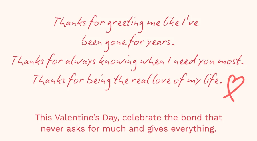 Valentines Day Sale