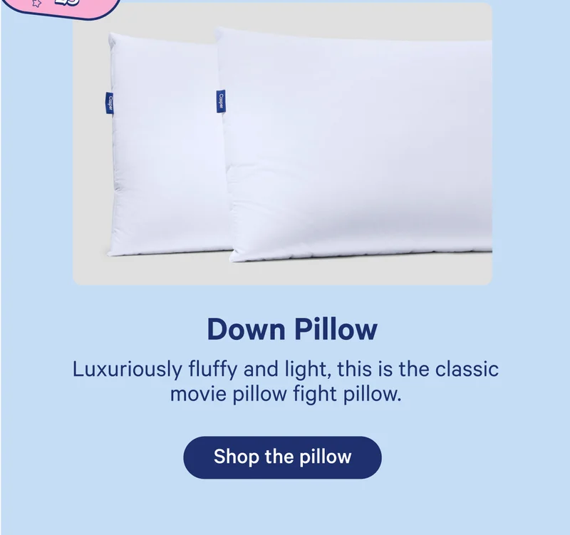 Down Pillow; Luxuriously fluffy and light, this is the classic movie pillow fight pillow.