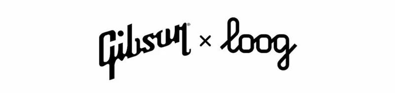 Loog