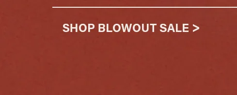 White "SHOP BLOWOUT SALE >" text on a reddish-brown background with a white line, promoting huge discounts and great deals.