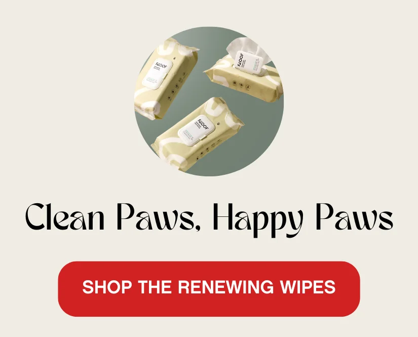 Floof Renewing Wipes