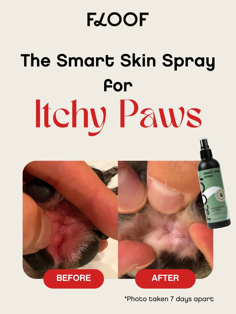 Floof Smart Skin Spray