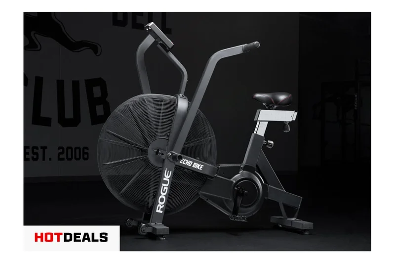 Rogue Echo Bike V3.0
