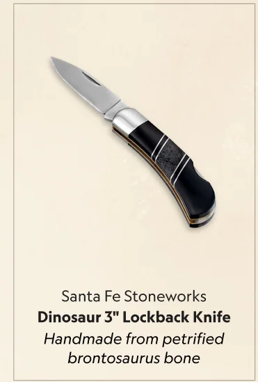 Dinosaur Jewelry Collection 3 Lockback Knife