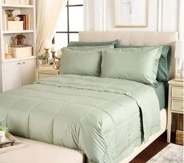 Northern Nights Shadow Dot Cotton 650FP Down Blanket Set - Twin