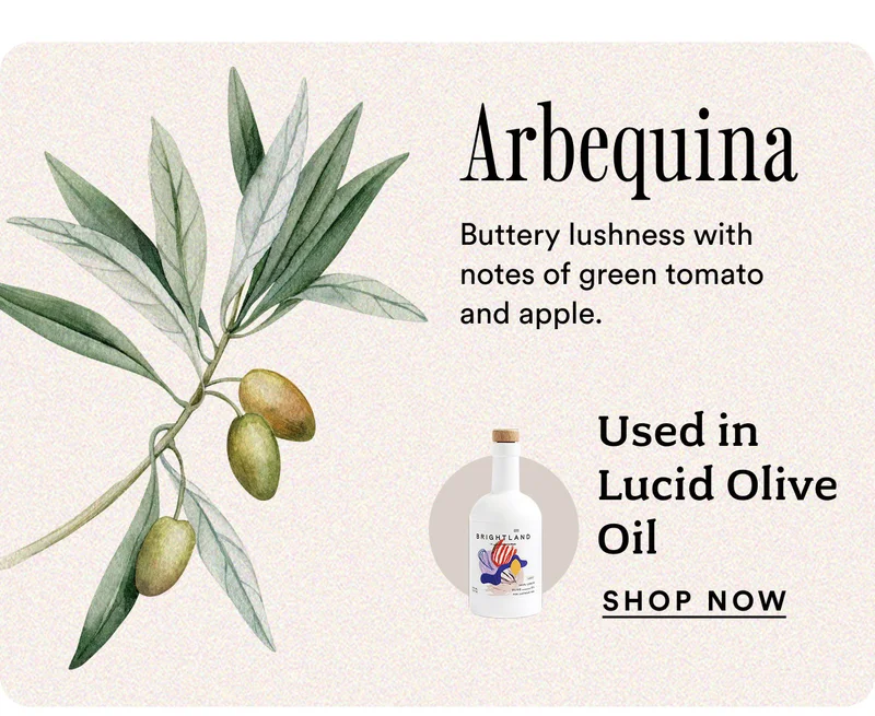 Arbequina