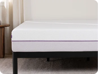 PurplePlus<sup>®</sup>