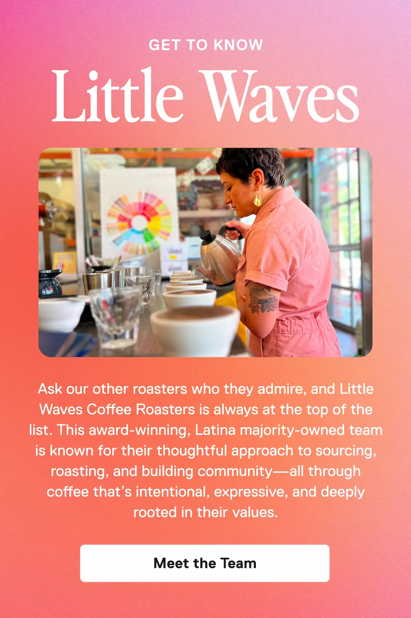 Meet Little Waves