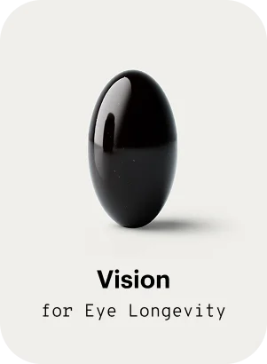 Vision