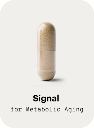 Signal