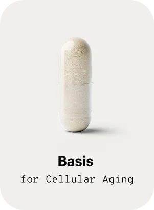 Basis