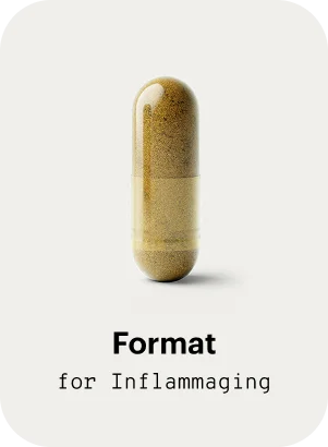 Format