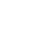 tested icon