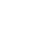 bunny icon