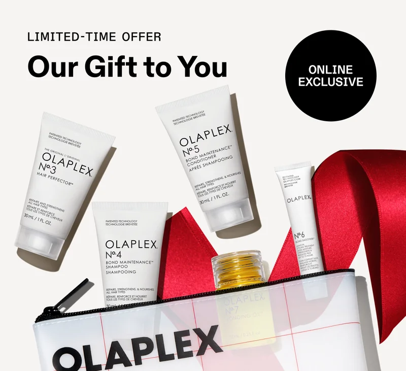 Our Gift To You