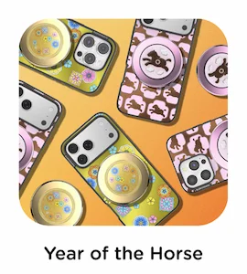 Year of the Horse