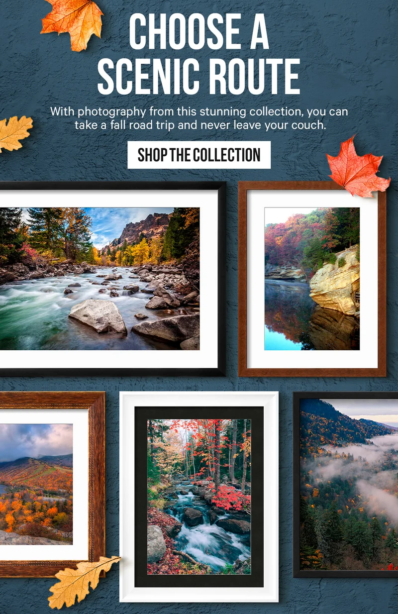 Choose a Scenic Route. Take a fall road trip with photography from this stunning collection.