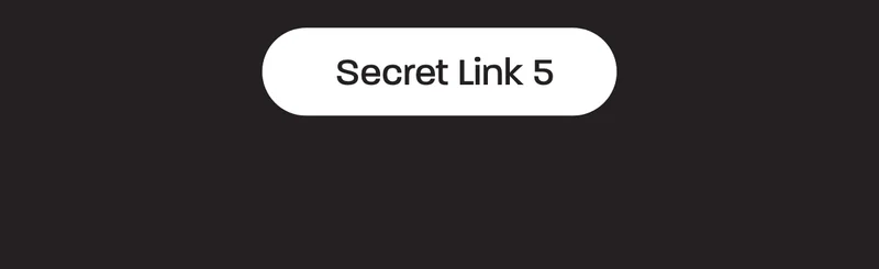 Secret Link 5