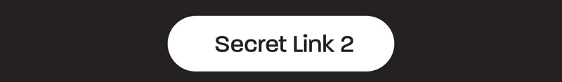 Secret Link 2