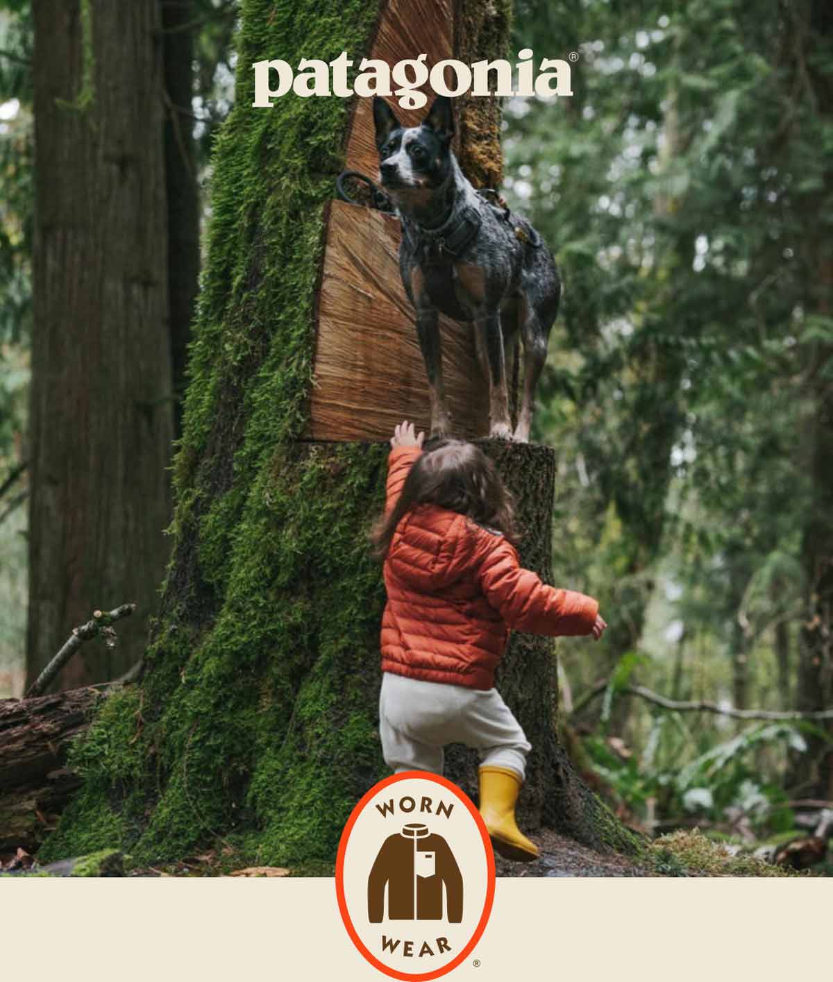 Patagonia. A kid reaches up toward a dog on a tree stump.