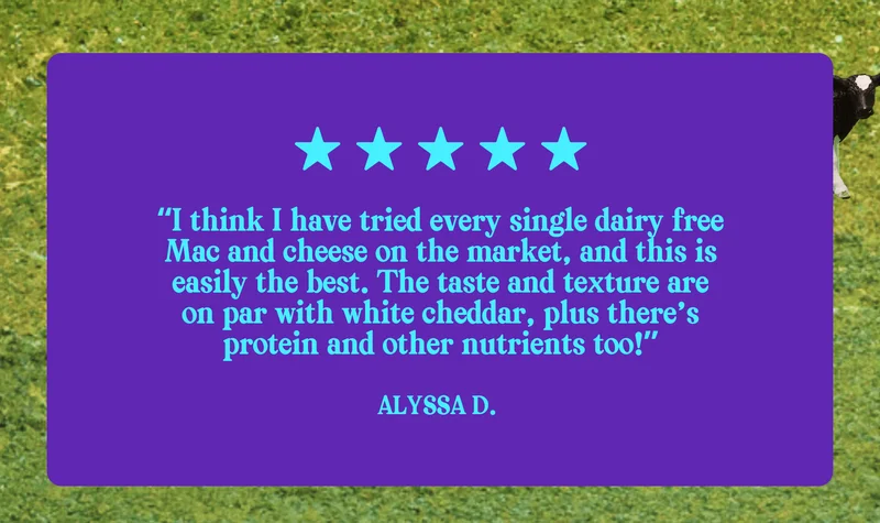 "I think I have tried every single dairy free Mac and cheese on the market, and this is easily the best."