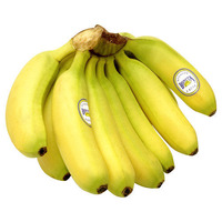 Bunch of Baby Bananas