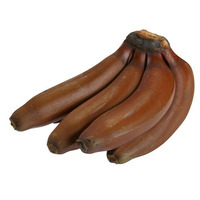 Bunch of Red Bananas