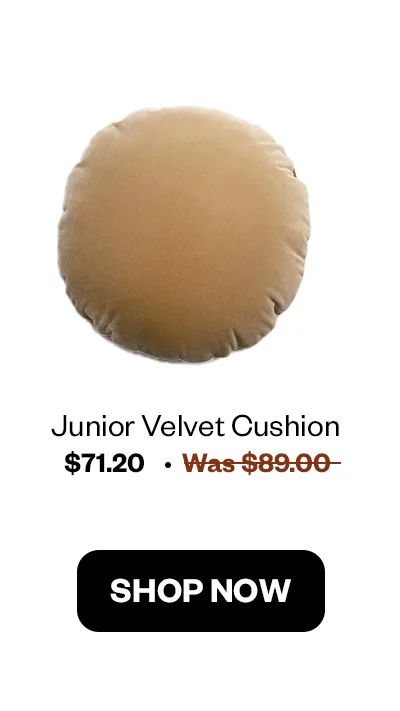 Junior Velvet Cushion