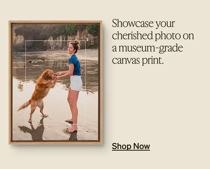 8x8 photo books are $10 + get up to 50% off everything!