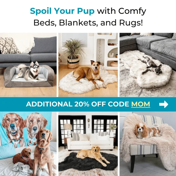 Blankets and Rugs